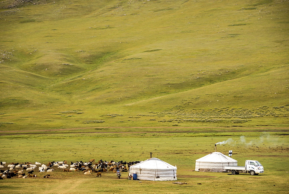 Nomadic herders' ger camp on Steppes grasslands of Mongolia, Asia