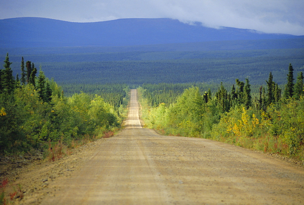 Taylor Highway, gravel road through pine forest only opens summer three months into 40 Mile goldfields area, E. Alaska, USA, North America