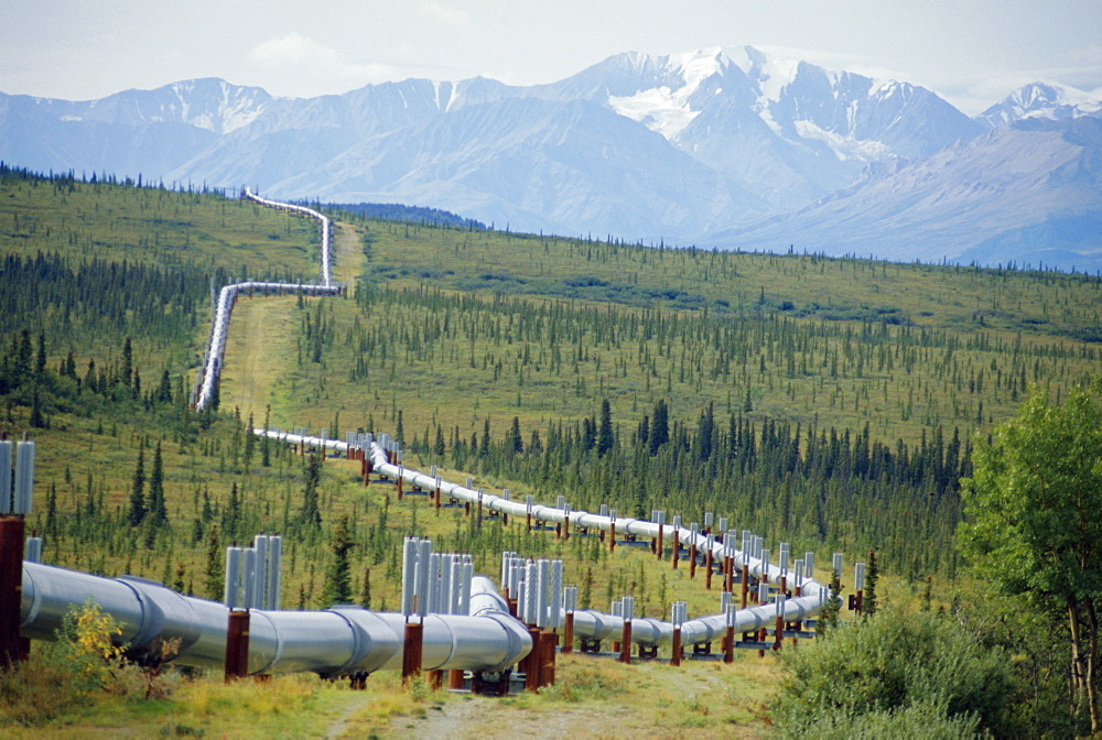 The Trans Alaska Oil Pipeline running on refridgerated support to stop oil heat melting the permafrost,Mount Hayes (4116m) and the Alaska Range in the background, Alaska, USA