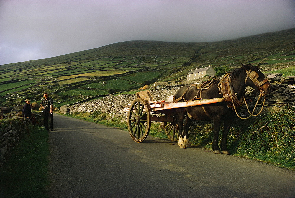 The Dingle Peninsula, County Kerry, Munster, Eire (Republic of Ireland), Europe