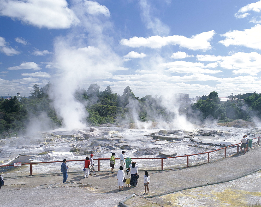 Pohutu geyser, Whakarewarewa, Rotorua thermal area, South Auckland, North Island, New Zealand, Pacific