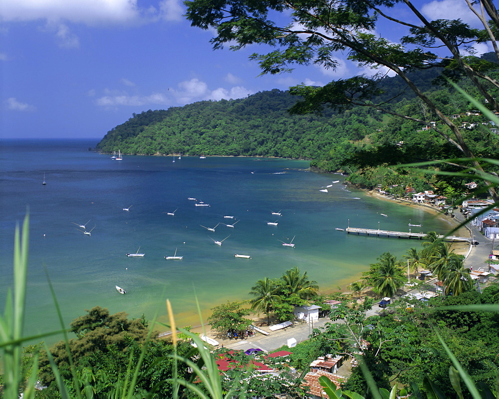 Charlotteville, Tobago, Trinidad and Tobago, Caribbean, West Indies, Central America