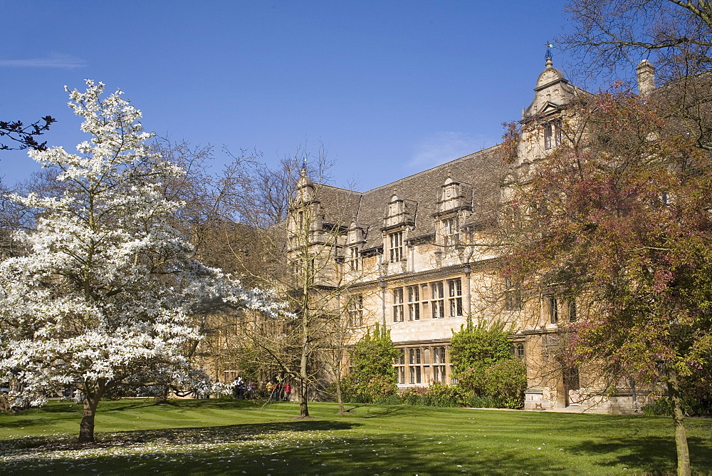 Trinity College, Oxford, Oxfordshire, England, United Kingdom, Europe