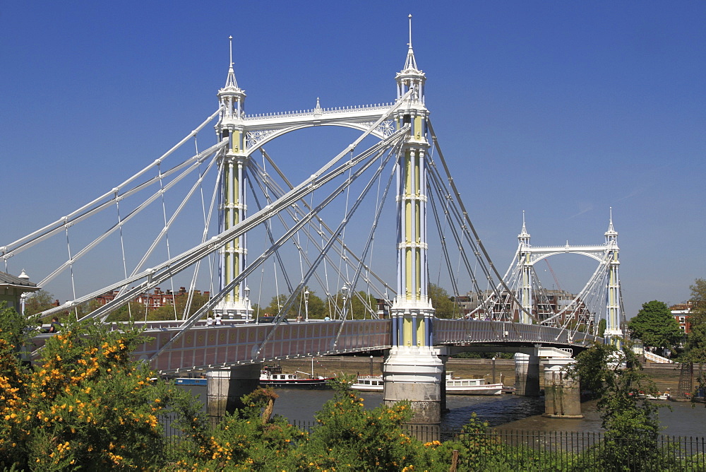 Albert Bridge over River Thames, Battersea, London, England, United Kingdom, Europe