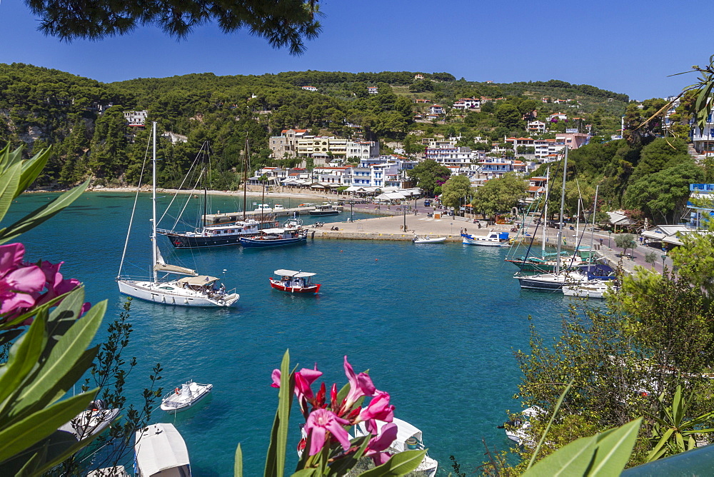 Harbour Patitiri, Alonnisos, Sporades, Greek Islands, Greece, Europe