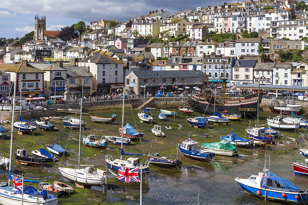 Harbour, Brixham, Devon, England, United Kingdom, Europe