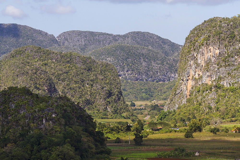 Limestone Mogotes, Vinales Valley, UNESCO World Heritage Site, Pinar del Rio, Cuba, West Indies, Caribbean, Central America