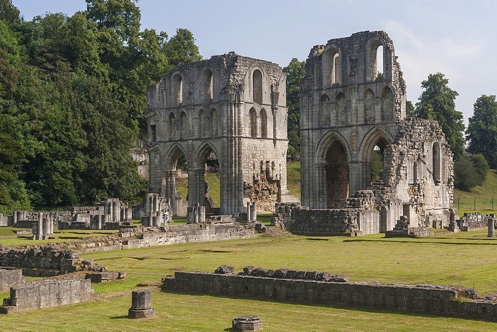 Roche Abbey, South Yorkshire, Yorkshire, England, United Kingdom, Europe