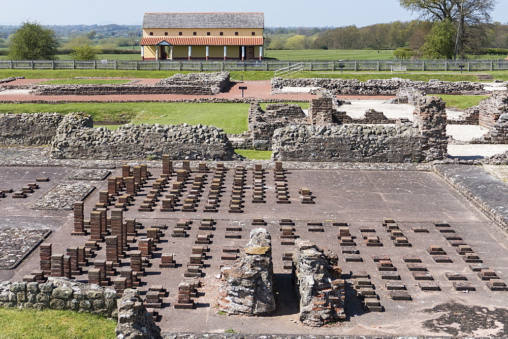 Old Roman city, Wroxeter, Shropshire, England, United Kingdom, Europe