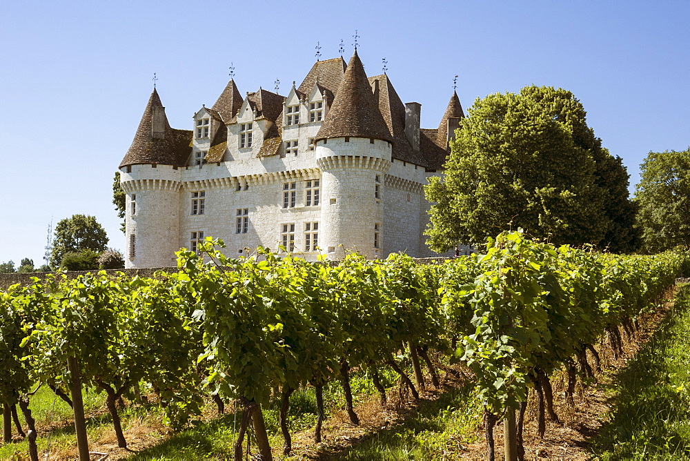 Chateau and Vineyard, Montbazillac, Dordogne, France, Europe