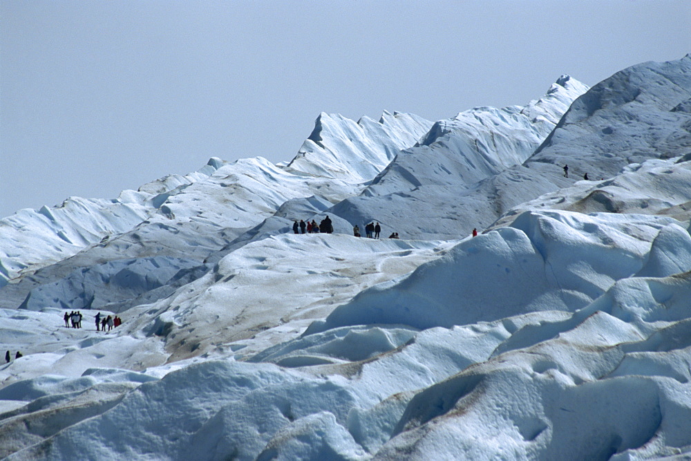 Tourists trekking on Moreno Glacier, Los Glaciares National Park, UNESCO World Heritage Site, Argentina, South America