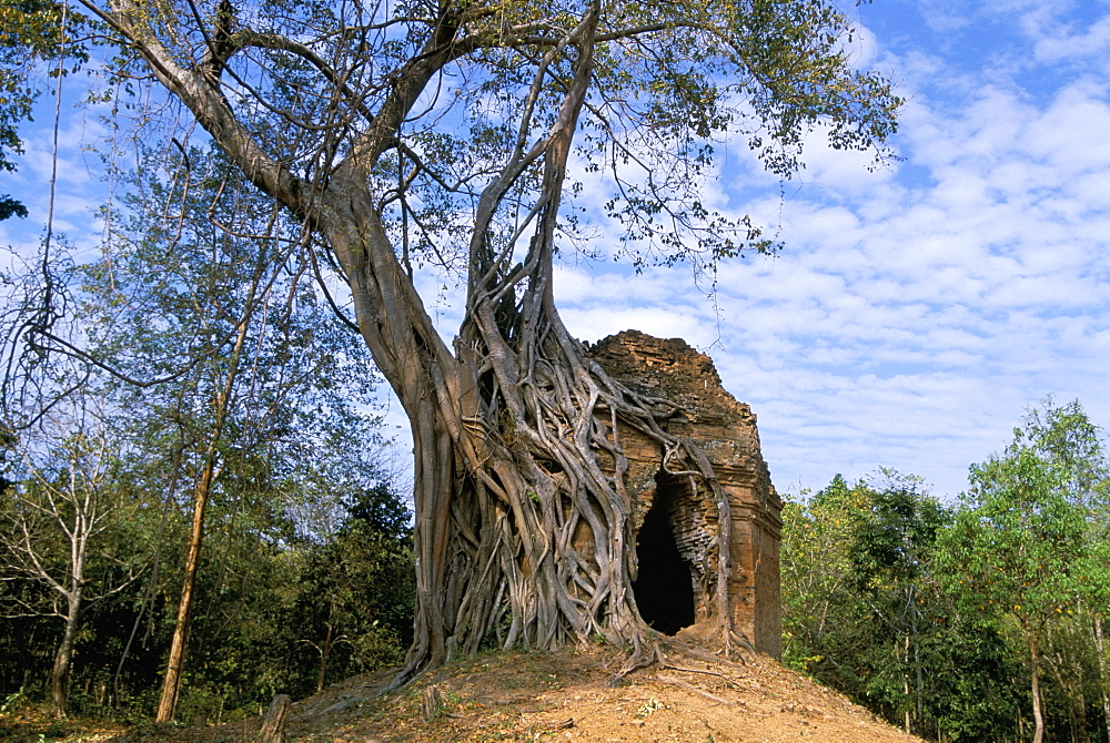 Pre-Ankorian site of Sambor Prei Kuk, Prasat Trapeang Ropaeak complex, Kompong Thom, Cambodia, Indochina, Southeast Asia, Asia