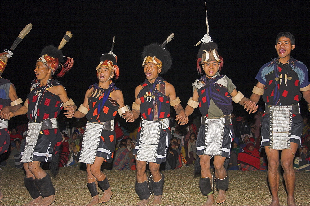 Naga men dancing at Grand Finale wearing woven cane headdress decorated with wild boar teeth, bear fur and topped with hornbill feather, and tiger teeth necklace, ivory arm bands, bear fur anklets and aprons decorated with cowrie shells, Naga New Year Festival, Lahe village, Sagaing Division, Myanmar (Burma), Asia 