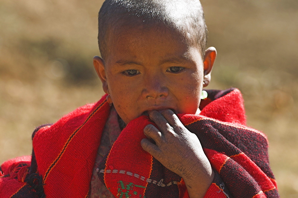 Naga (Macham tribe) child wrapped up in his traditional blanket, Magyan Village, Sagaing Division, Myanmar (Burma), Asia