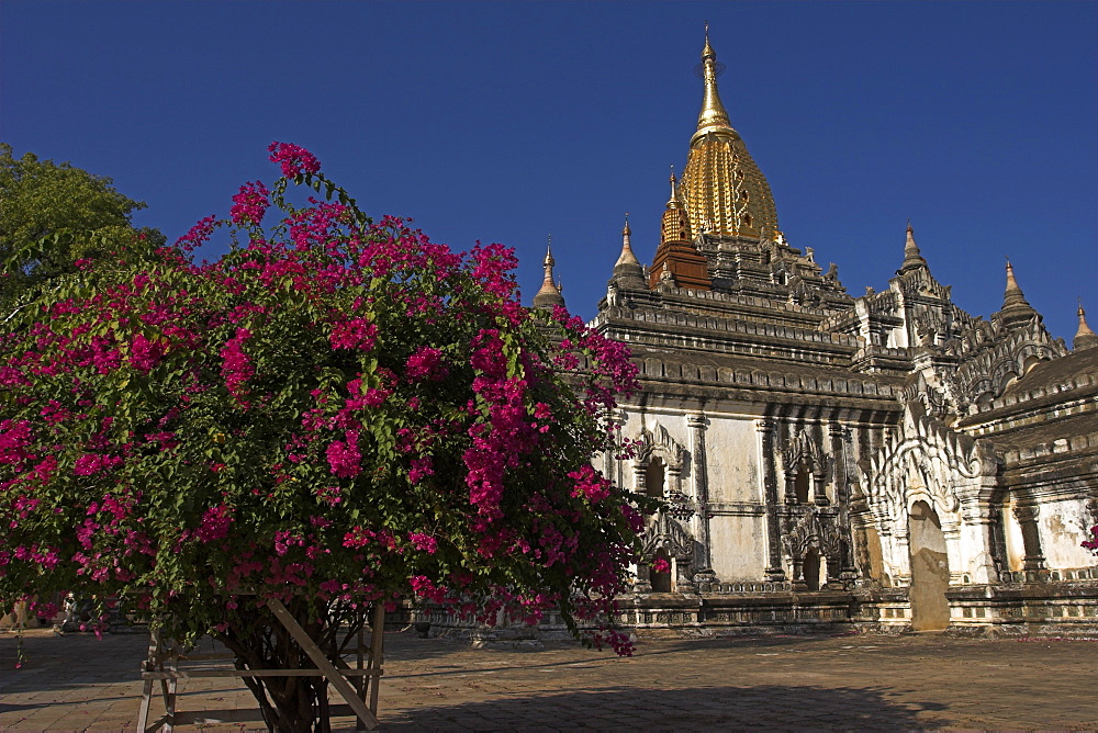 Ananda Pahto (temple) built around 1105 by King Kyanzittha, old Bagan, Bagan (Pagan), Myanmar (Burma), Asia