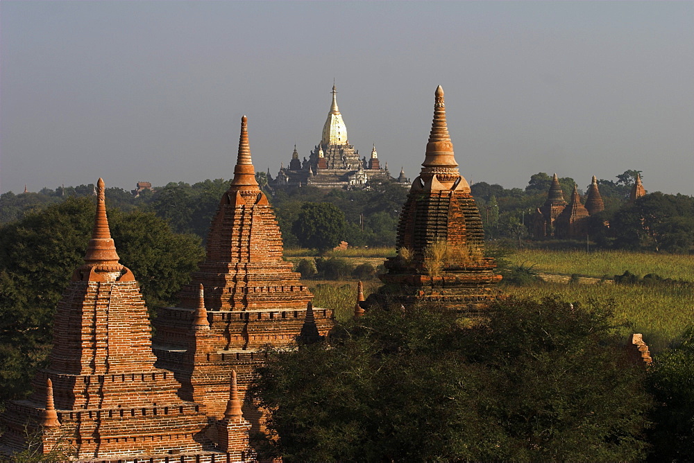 View of temples from Shwesandaw Paya at dawn, Old Bagan, Bagan (Pagan), Myanmar (Burma), Asia