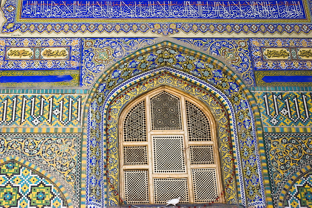 Famous white pigeon sits below window, Shrine of Hazrat Ali, who was assassinated in 661, Mazar-I-Sharif, Balkh province, Afghanistan, Asia