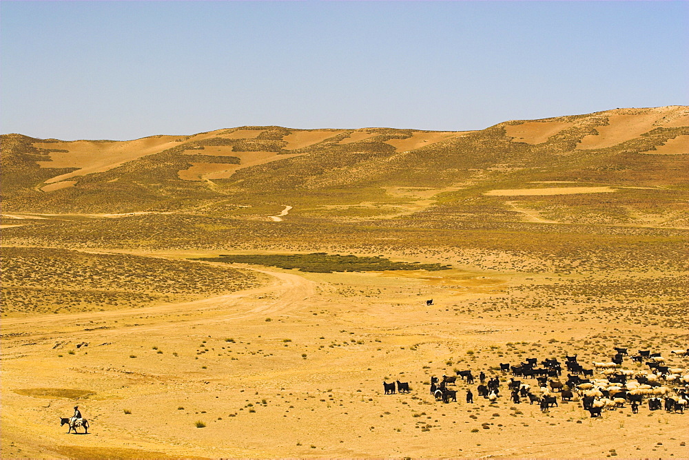 Man on donkey, between Chakhcharan and Jam, Afghanistan, Asia