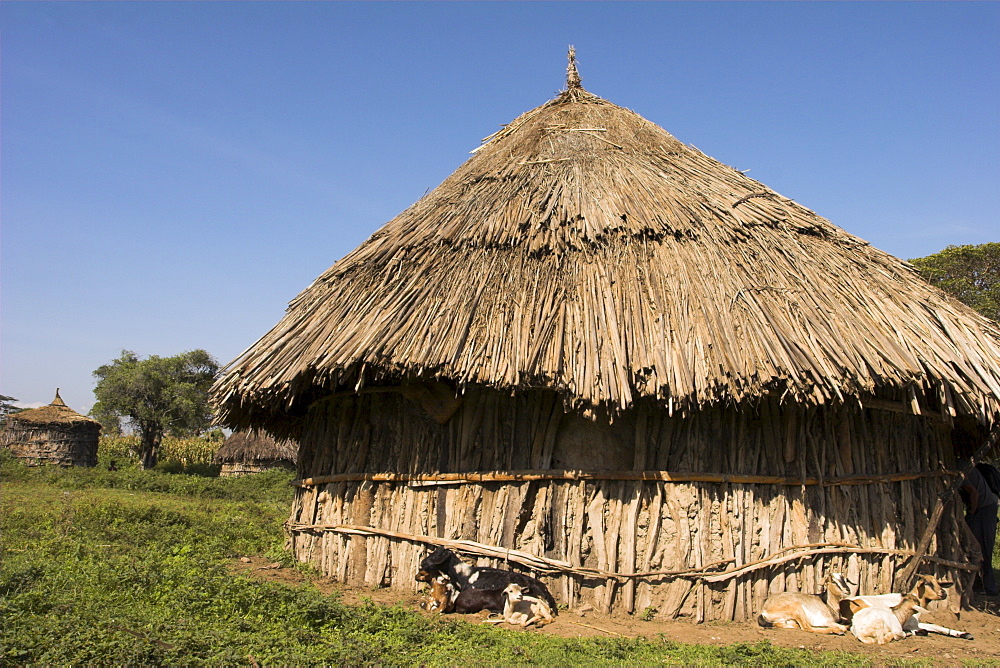 Oromo village near Langano lake, Rift Valley, Ethiopia, Africa