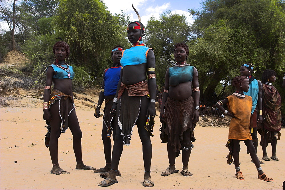 Women sing and dance before the bull jumping, Hamer Jumping of the Bulls initiation ceremony, Turmi, Lower Omo valley, Ethiopia, Africa