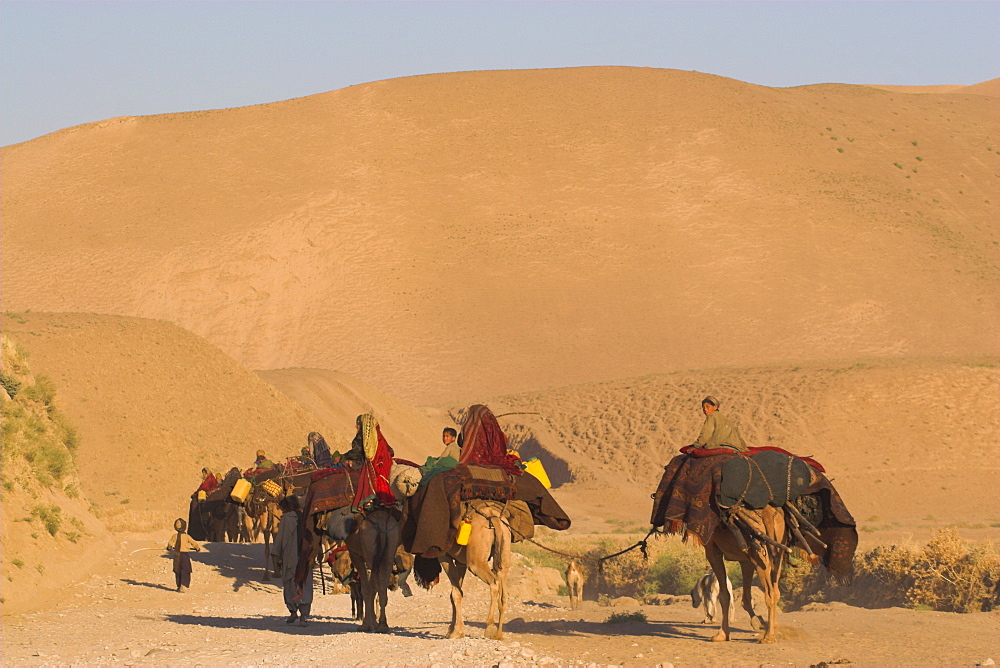 Kuchie nomad camel train, between Chakhcharan and Jam, Afghanistan, Asia