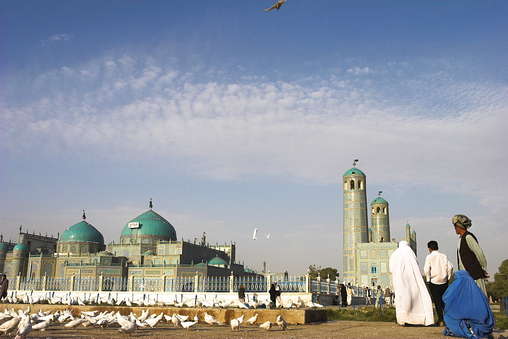 Lady in burqa feeding famous white pigeons at Shrine of Hazrat Ali, Mazar-I-Sharif, Afghanistan, Asia