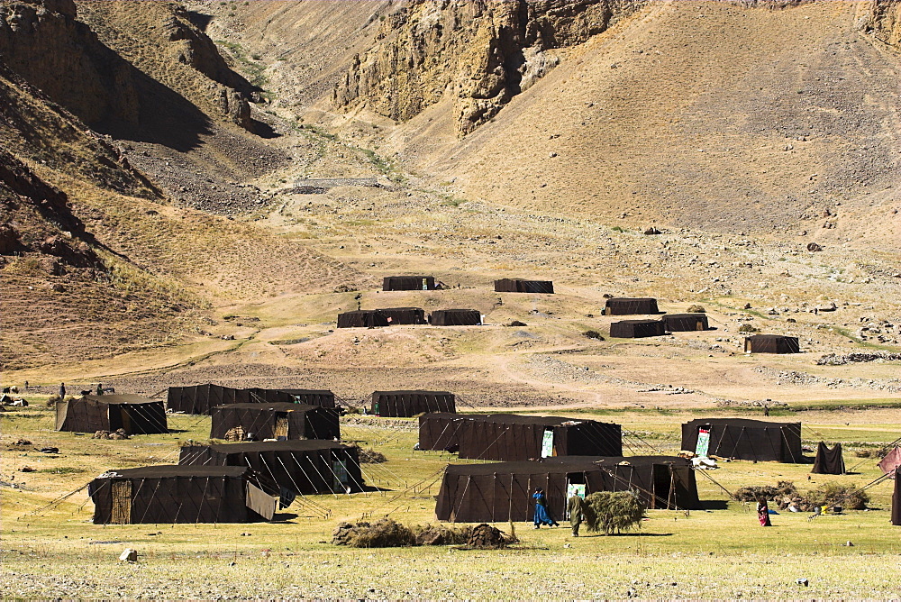 Summer yurts in camp of Aimaq semi-nomads, between Chakhcharan and Jam, Pal-Kotal-i-Guk, Afghanistan, Asia