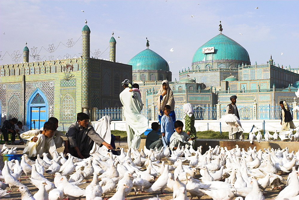 People feeding famous white pigeons at Shrine of Hazrat Ali, Mazar-I-Sharif, Afghanistan, Asia