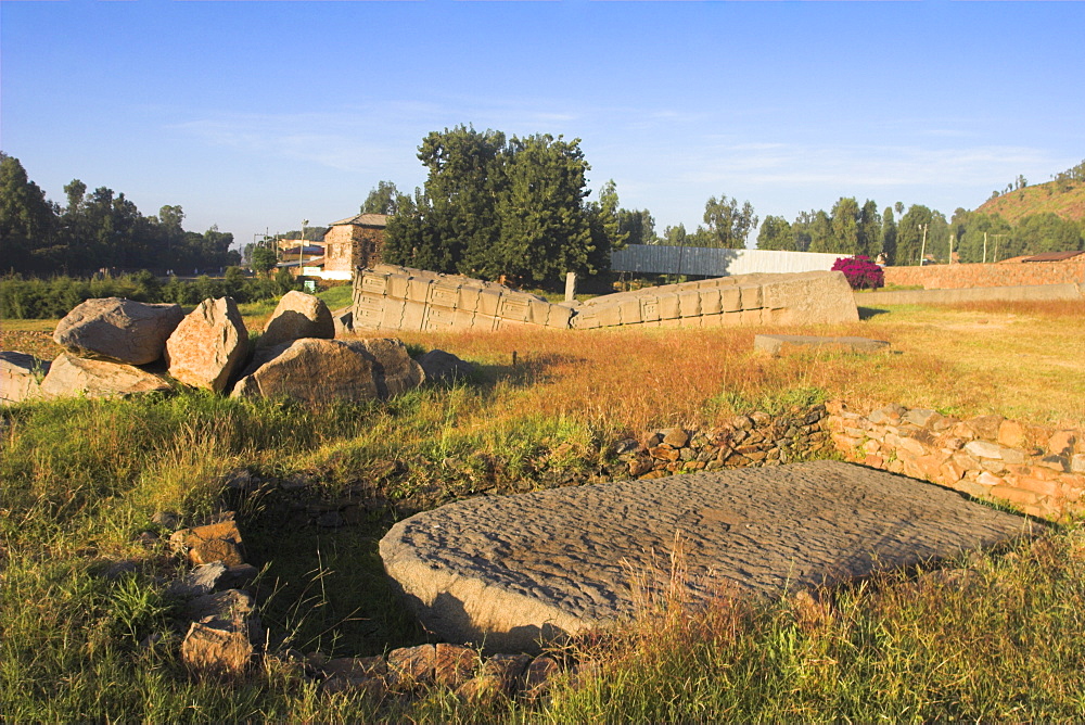 The Great Stelae, 22m, believed to be the largest single stone block humans have tried to erect, Northern Stelae Park, Aksum, UNESCO World Heritage Site, Ethiopia, Africa