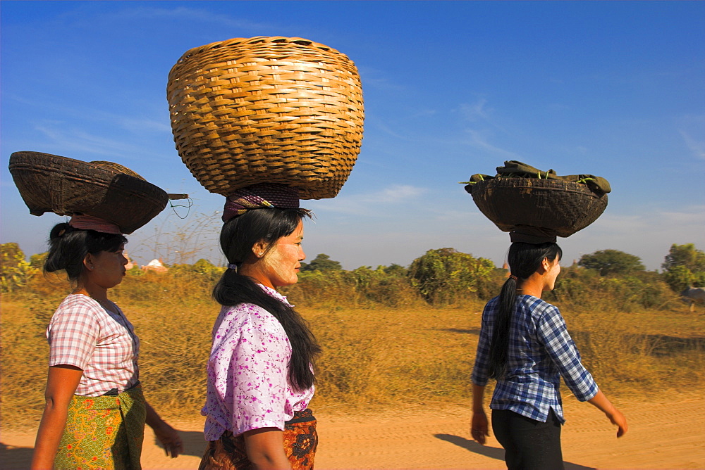 Ladies walking down road to Ananda festival, Old Bagan, Bagan (Pagan), Myanmar (Burma), Asia