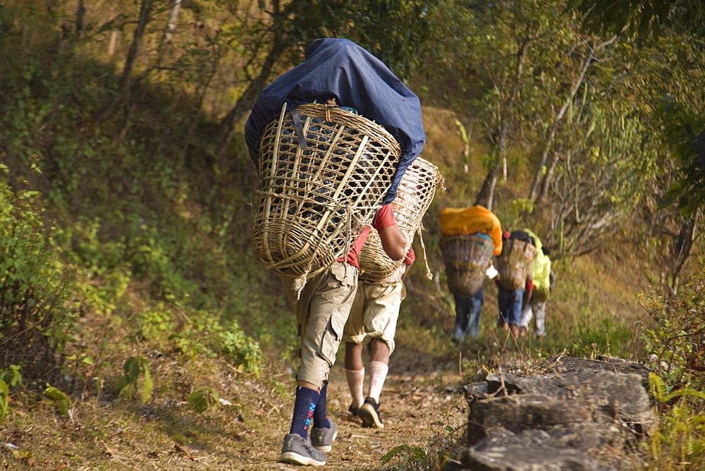 Porters on Royal trek, Pokhara, Nepal, Asia