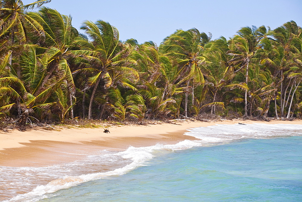 Beach near Garret Point, Little Corn Island, Corn Islands, Nicaragua, Central America