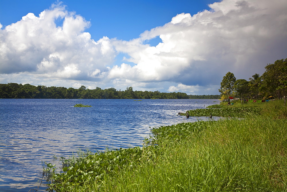 Yavinoco Village, River Manamo, Delta Amacuro, Orinoco Delta, Venezuela, South America