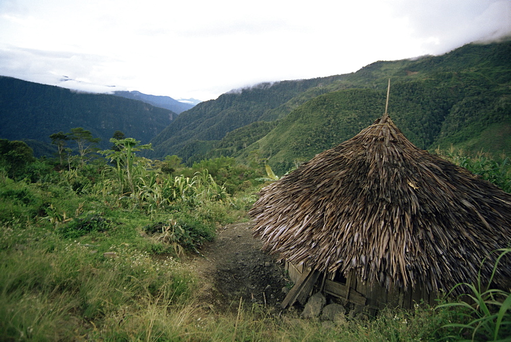 Yali house, Membegan, Irian Jaya, Indonesia, Southeast Asia, Asia