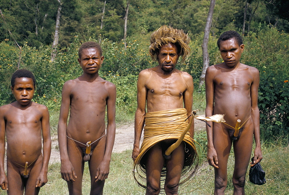 Yani man with Dani men, South Beliam valley, Irian Jaya, Indonesia, Southeast Asia, Asia