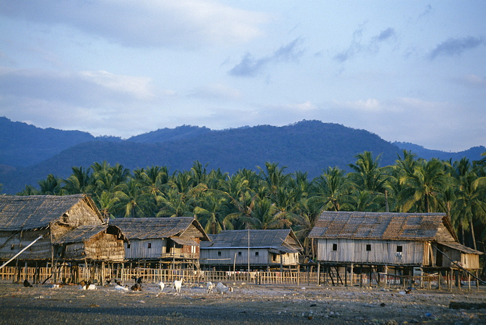 Houses on stilts, Riung, island of Flores, Indonesia, Southeast Asia, Asia