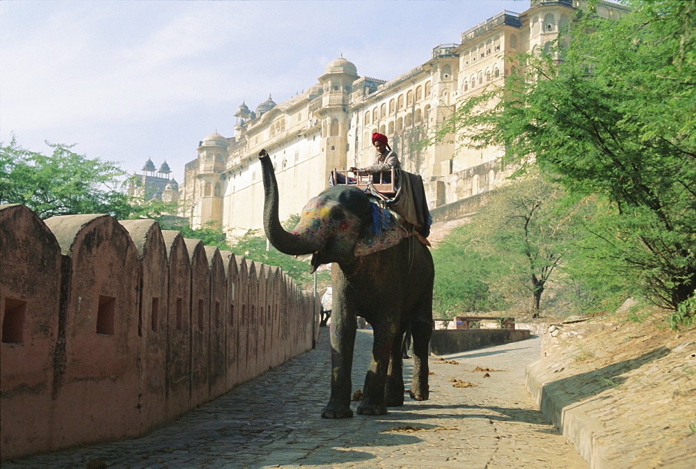 Elephant at the Amber Palace, Jaipur, Rajasthan State, India, Asia