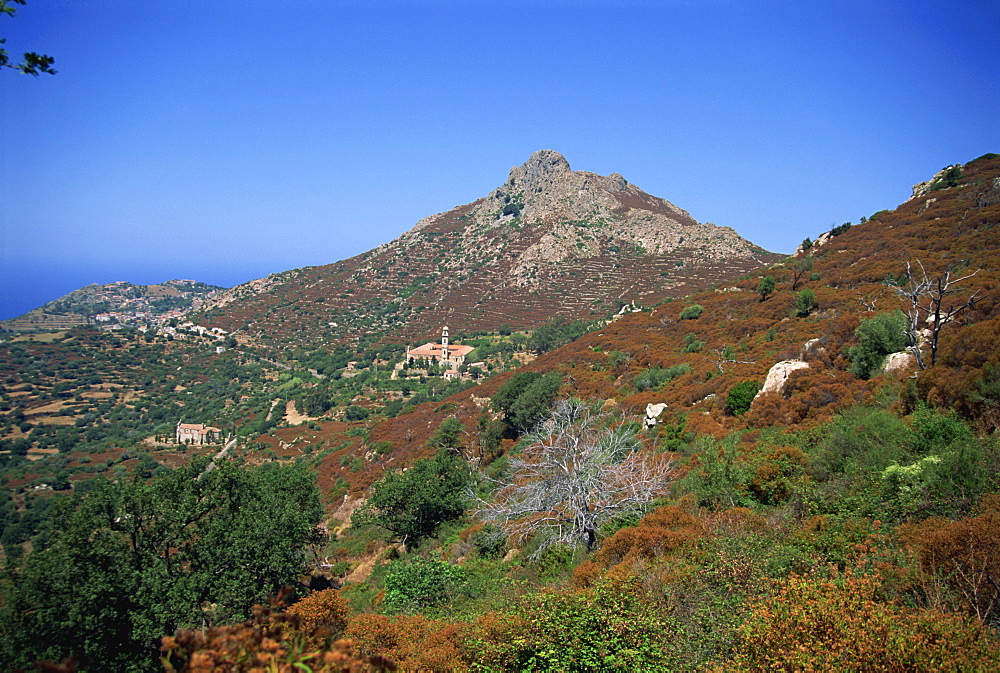 Landscape near Corbara, Balagne region, Corsica, France, Europe