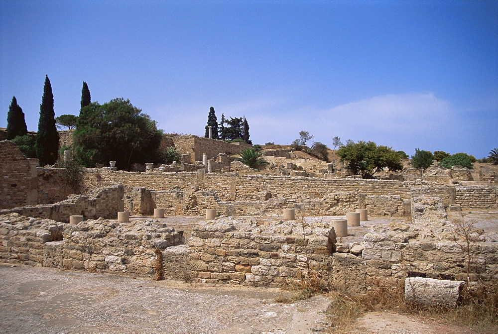 Remains of Roman villas, Carthage, UNESCO World Heritage Site, Tunisia, North Africa, Africa