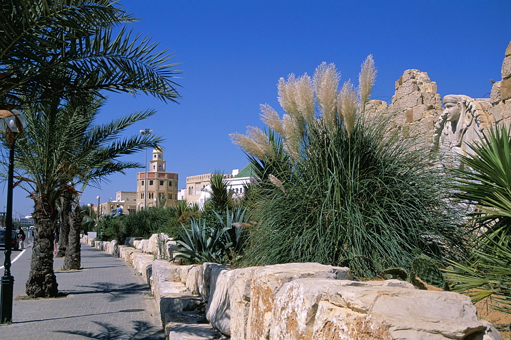 The Medina, Yasmine Hammamet, Tunisia, North Africa, Africa