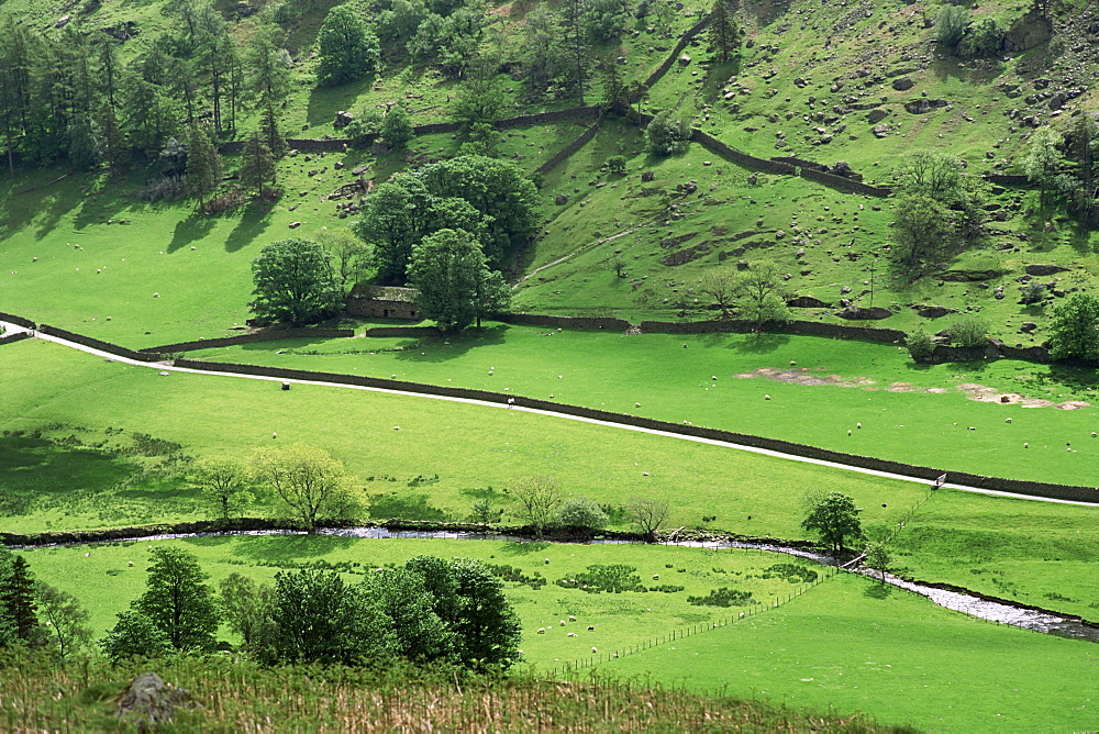 Grisedale Beck, Lake District, Cumbria, England, United Kingdom, Europe