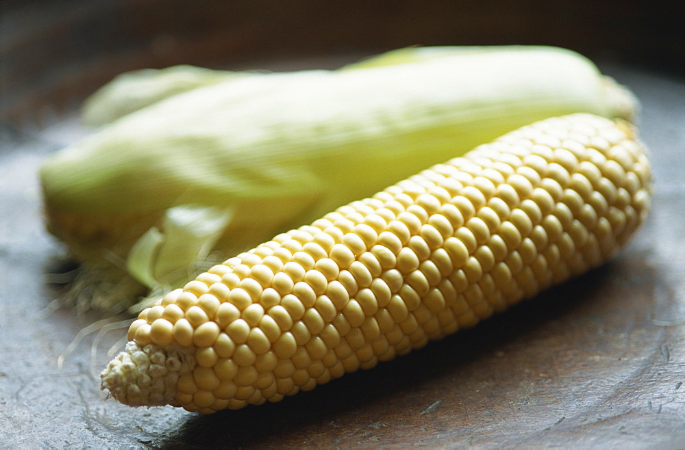 Close-up of uncooked corn on the cob