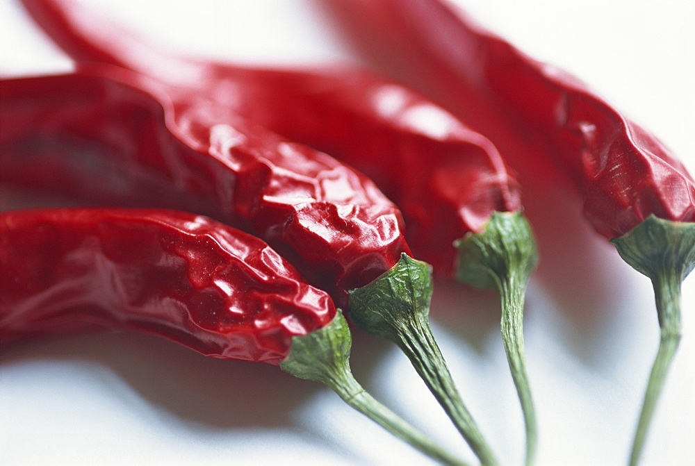 Close-up of dried chilli peppers