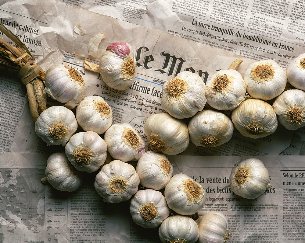 Strings of garlic spread out on Le Monde newspaper in France, Europe