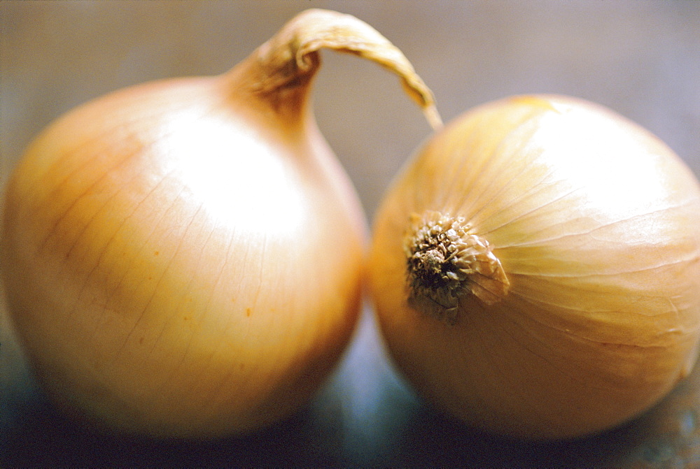 Studio shot of two onions