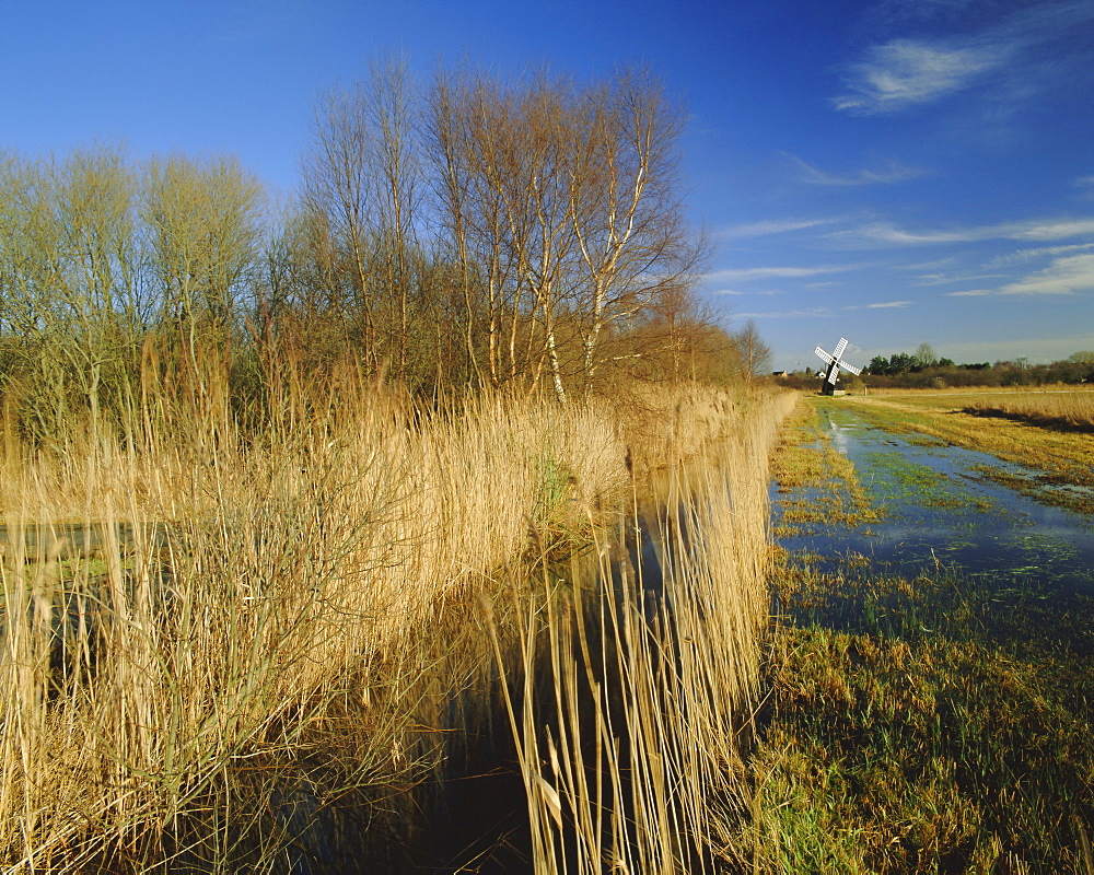 Wicken Fen, Wicken, near Ely, Cambridgeshire, England, UK