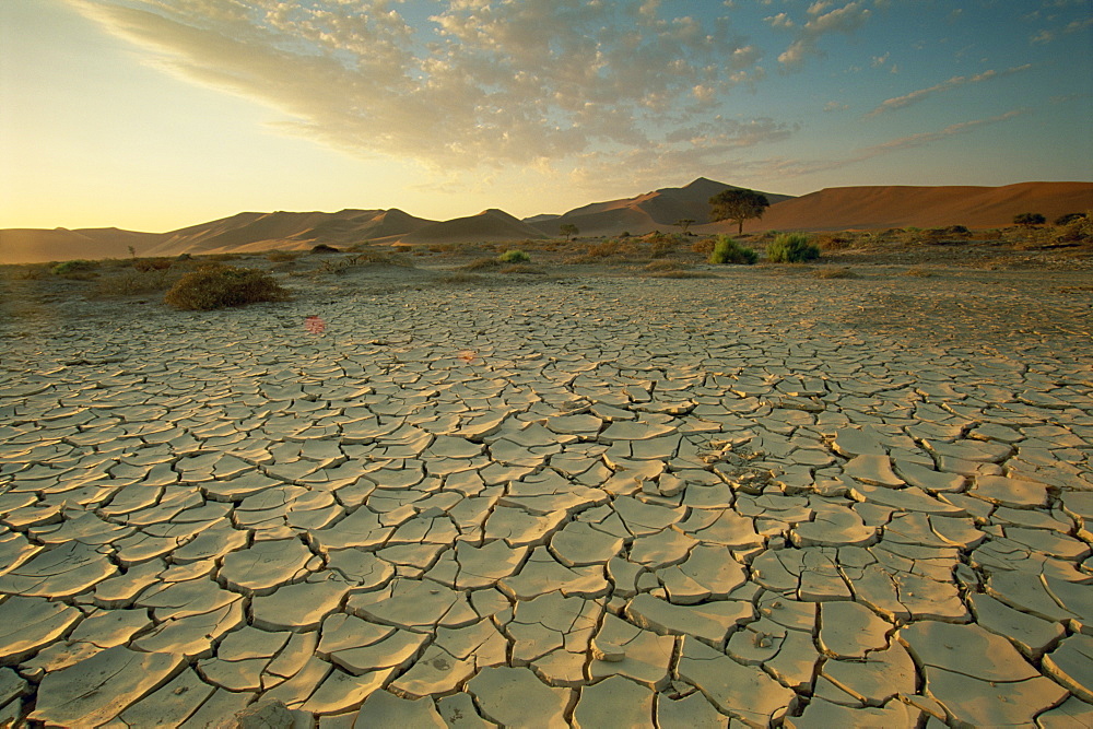 Sunbaked mud pan, cracked earth, near Sossusvlei, Namib Naukluft Park, Namibia, Africa