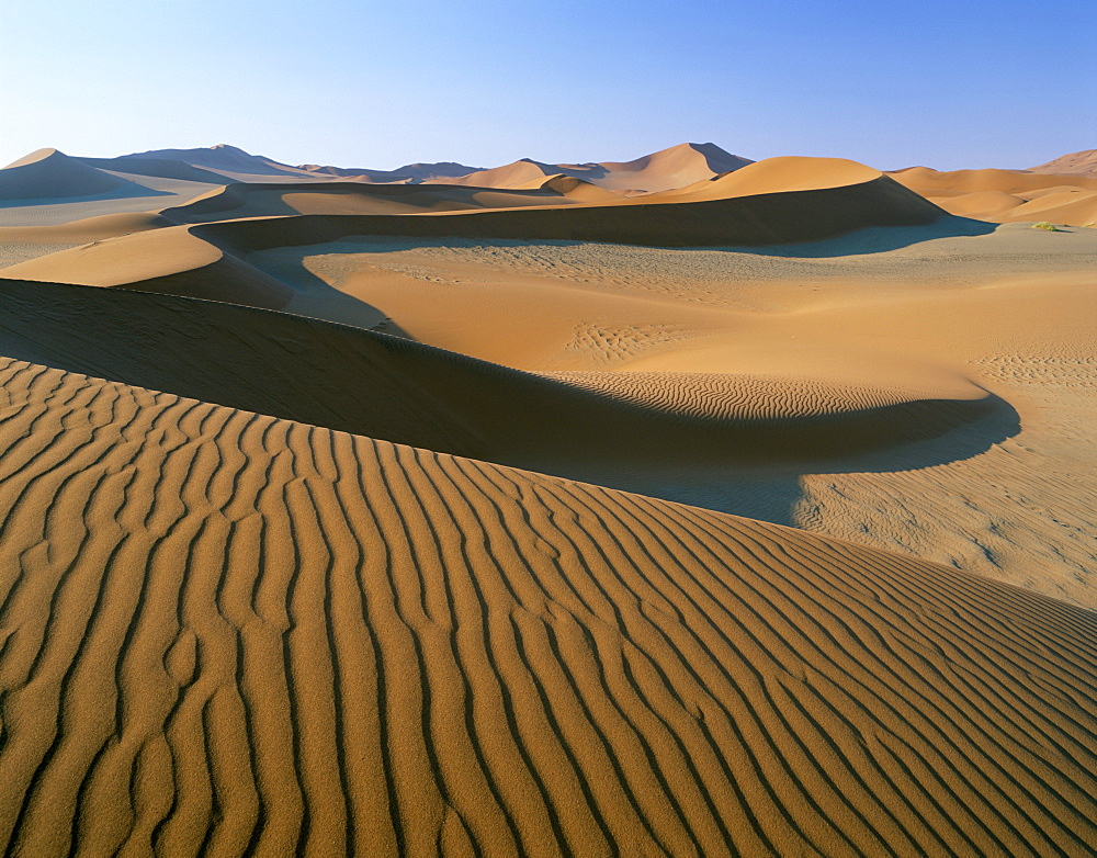 Sand dunes, dune sea, Sesriem, Namib Naukluft Park, Namibia, Africa