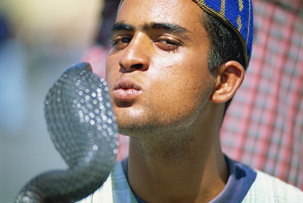 Snake charmer, Djemaa el Fna, Marrakech, Morocco, North Africa, Africa