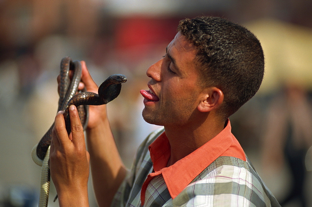 Snake charmer, Djemaa el Fna, Marrakesh, Morocco, North Africa, Africa